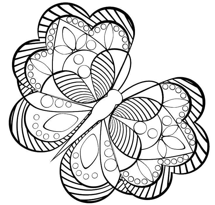 Coloring Butterfly patterned big wings. Category butterflies. Tags:  butterfly, insects, wings, patterns.