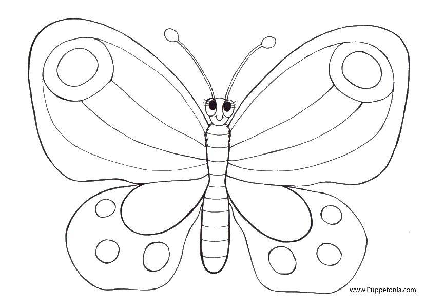 Название: Раскраска Бабочка.. Категория: Насекомые. Теги: насекомые, бабочки, крылышки, крылья.