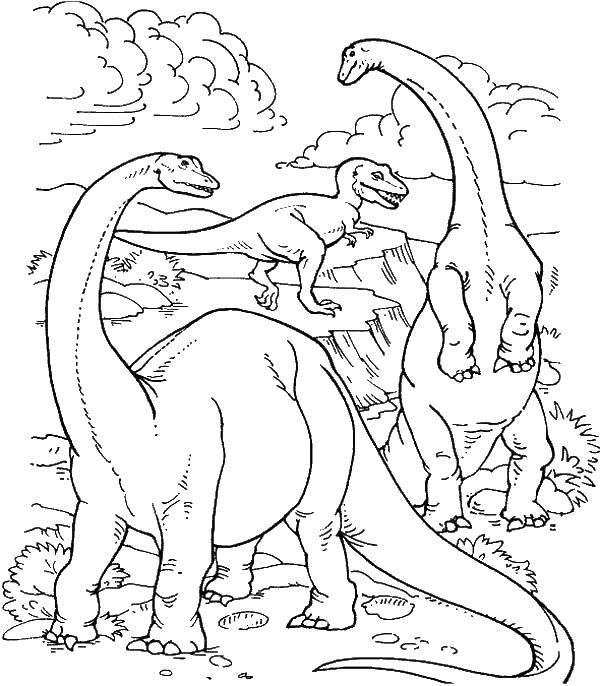 Название: Раскраска Бронтозавры и тираннозавр обитают рядом. Категория: динозавр. Теги: Динозавры.