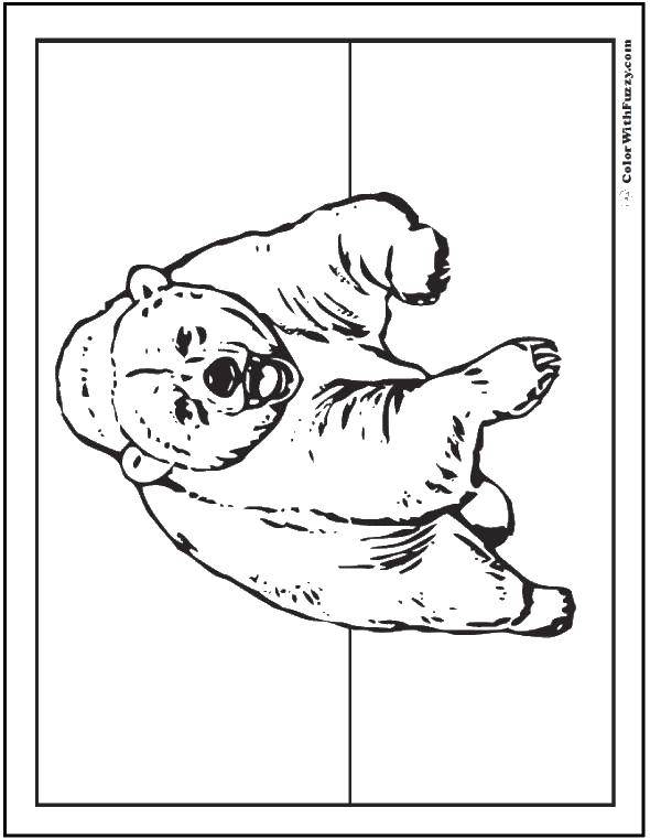 Бурый медведь раскраска для детей