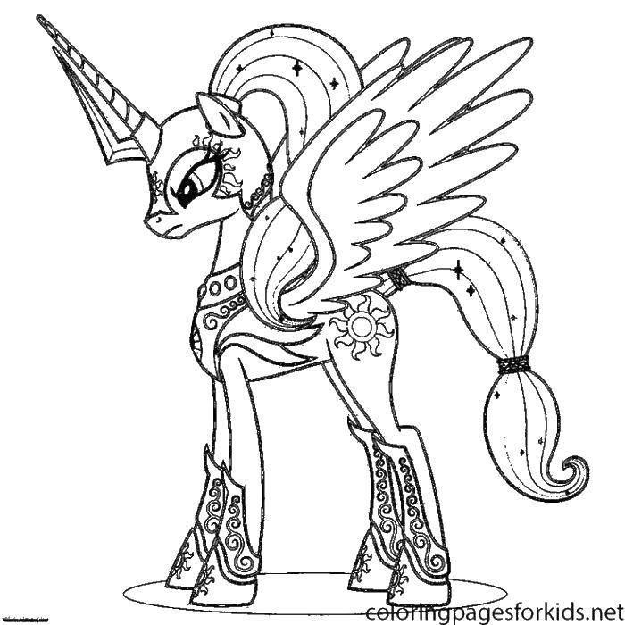 Название: Раскраска Единорог с крыльями. Категория: мой маленький пони. Теги: единорог, крылья, хвост.