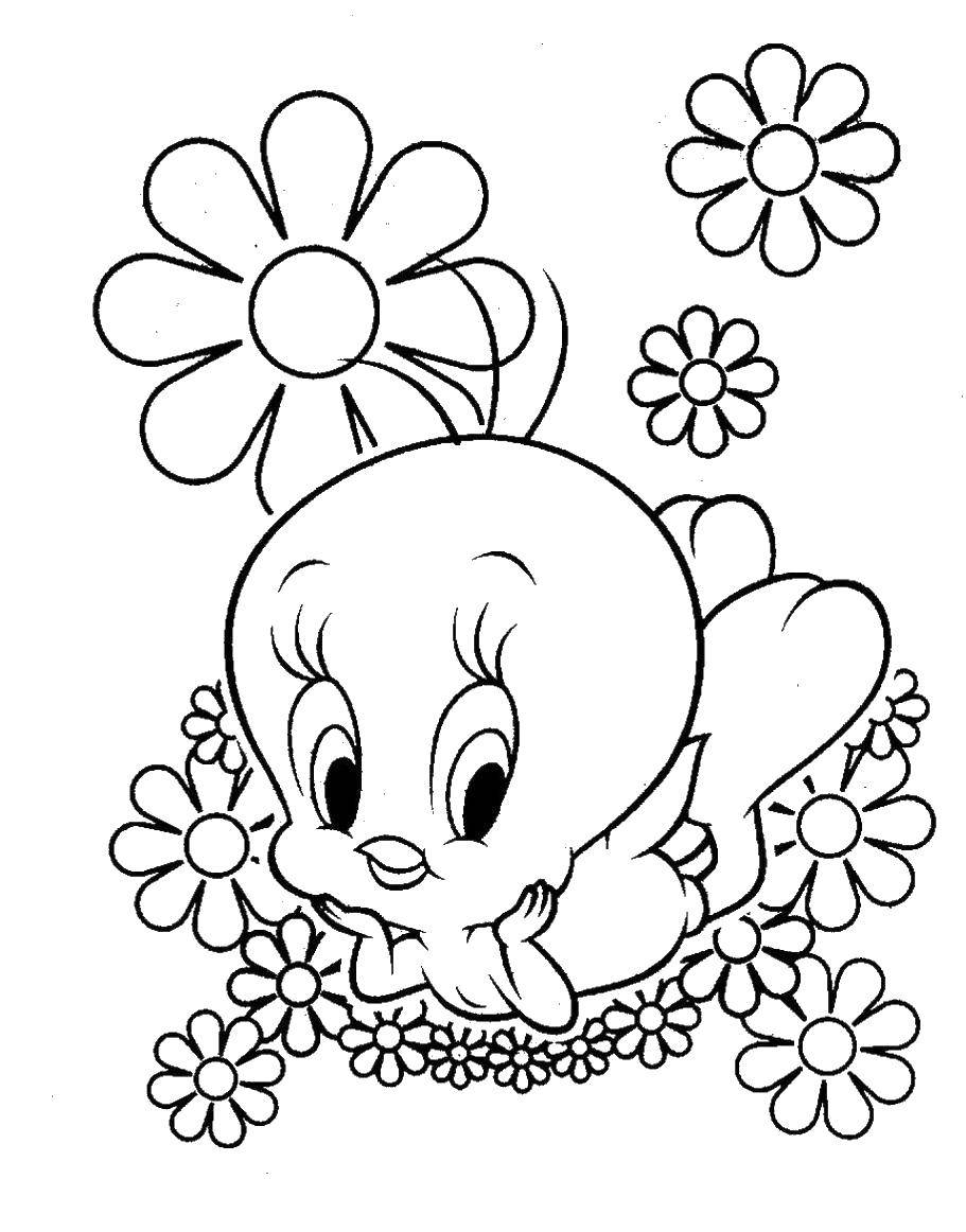 Название: Раскраска Канарейка твити в цветочках. Категория: Диснеевские мультфильмы. Теги: Дисней, канарейка Твити.