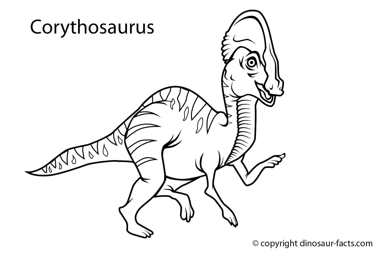 Coloring Ceratosaur. Category dinosaur. Tags:  ceratosaur, dinosaur.