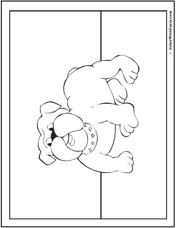 Coloring Bruin bulldog. Category The dog and the box. Tags:  Animals, dog.