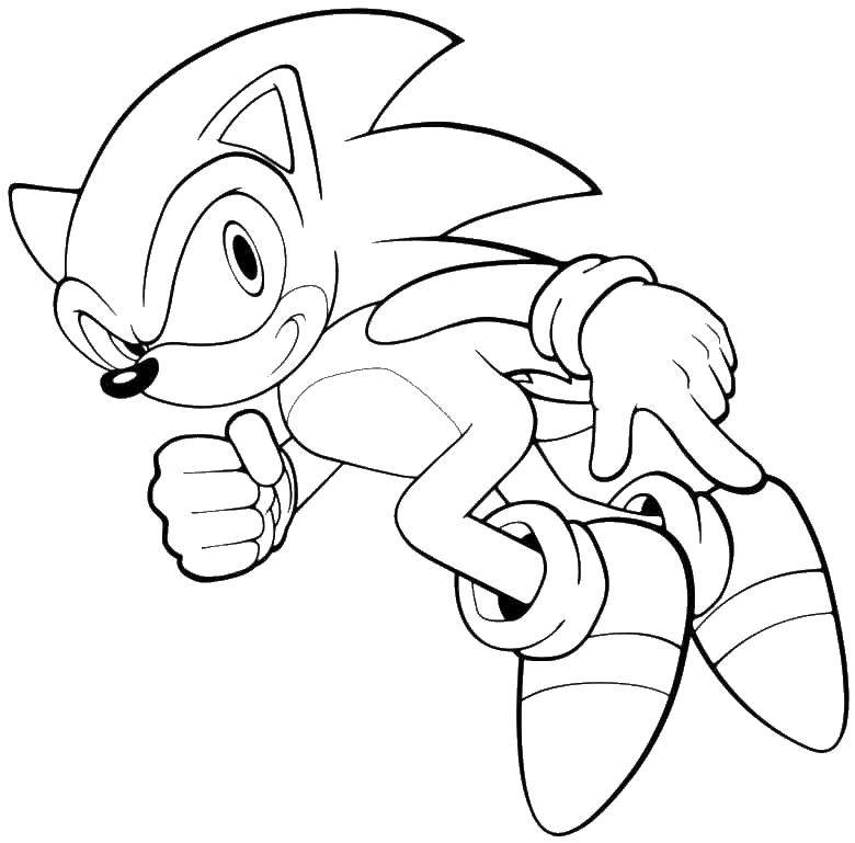 Coloring Cool sonic x. Category cartoons. Tags:  cartoons, sonic, sonic x.