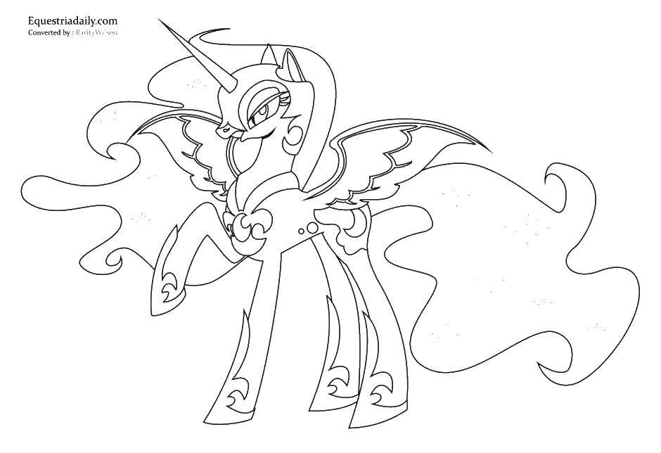 Coloring The winged unicorn and the mantle. Category my little pony. Tags:  unicorn, cloak, wings.