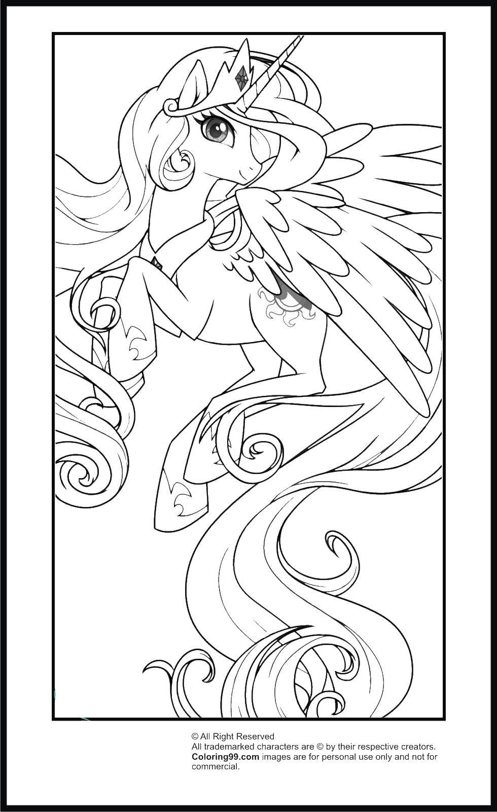 Coloring Winged unicorn. Category my little pony. Tags:  unicorn, wings, tail.