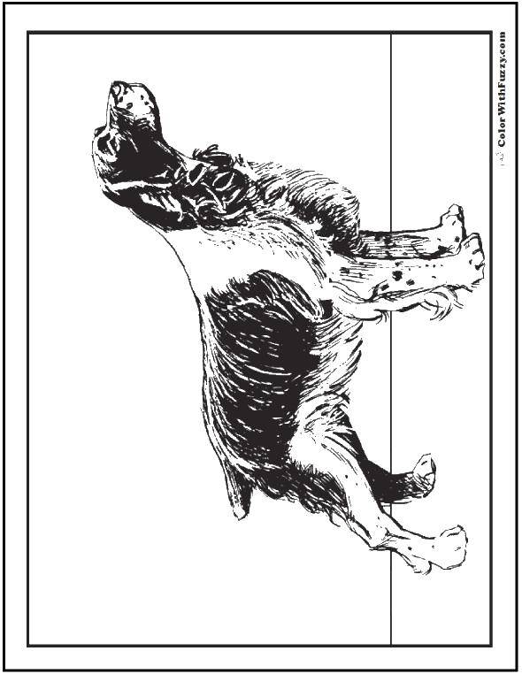 Название: Раскраска Лохматик пёс. Категория: Собака и будка. Теги: Животные, собака.