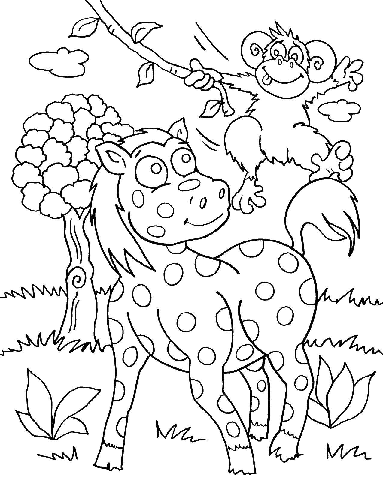 Название: Раскраска Лошадь в горошек и обезьянка. Категория: Дикие животные. Теги: лиана, обезьянка, лошадь, дерево.