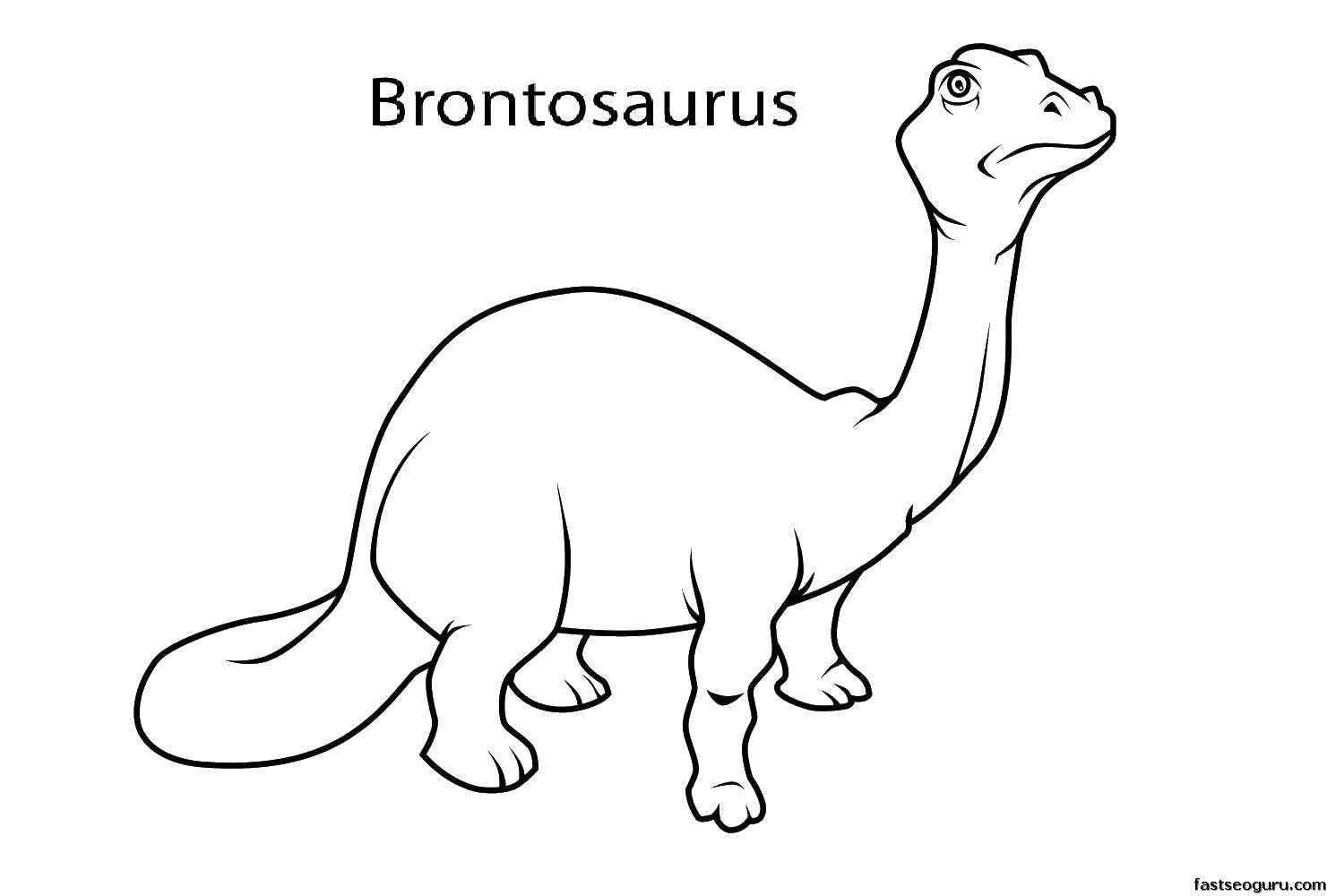 Название: Раскраска Маленький бронтозавр. Категория: динозавр. Теги: бронтозавр, динозавр, хвост.