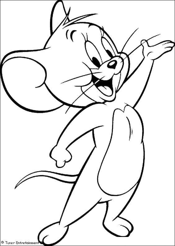 Coloring Mouse Jerry. Category cartoons. Tags:  cartoon, Jerry, Tom and Jerry.