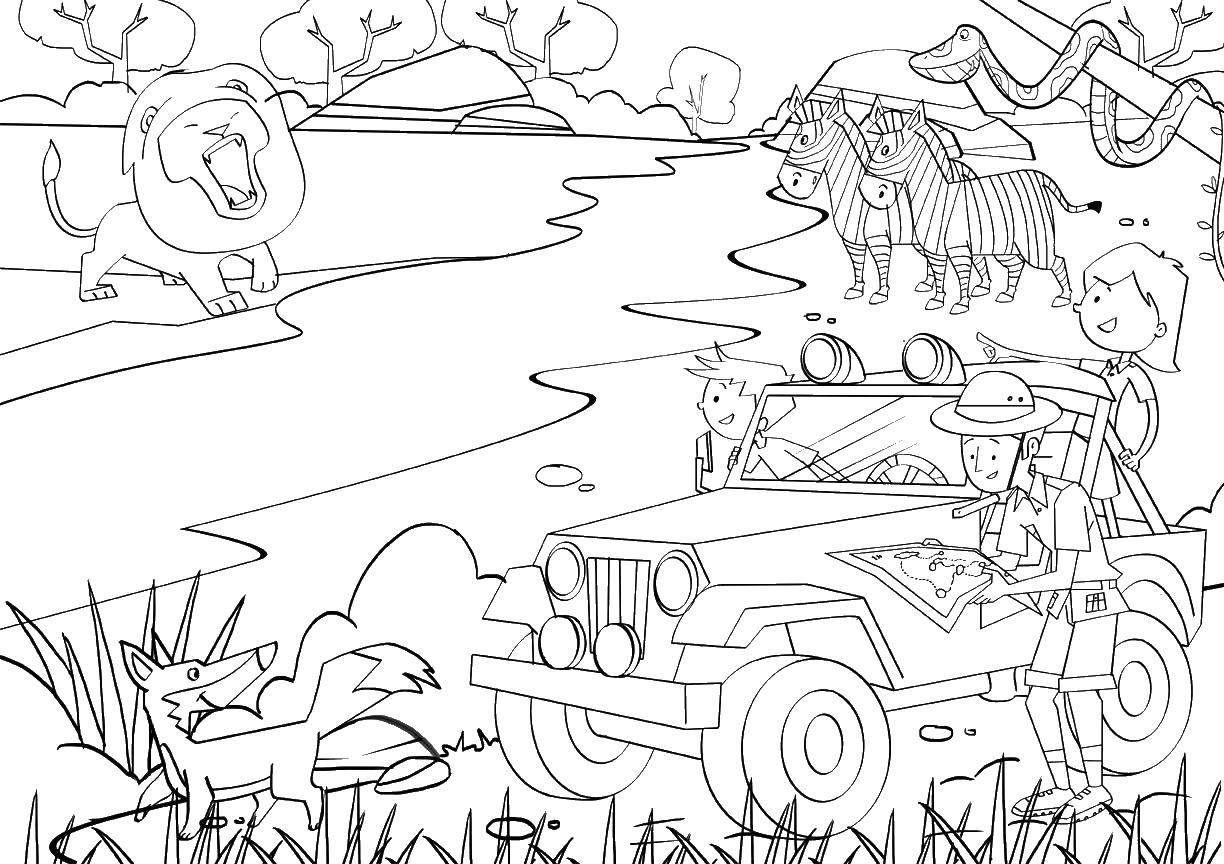 Coloring By car on Safari. Category Wild animals. Tags:  Africa, animals.