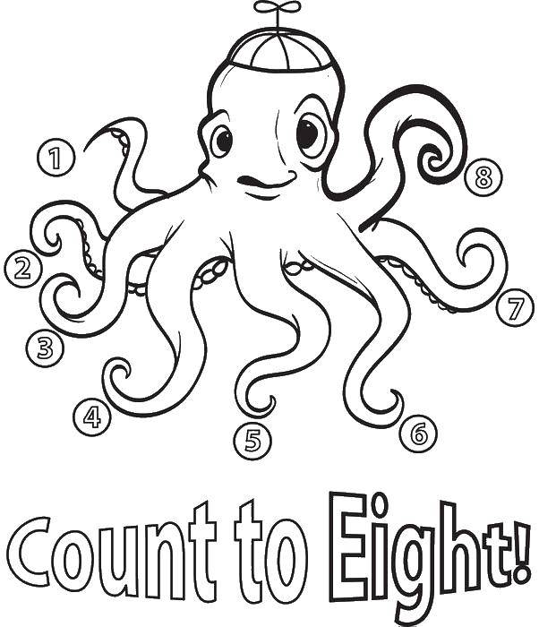 Coloring Octopus beanie. Category Learn to count. Tags:  Numbers , account numbers.