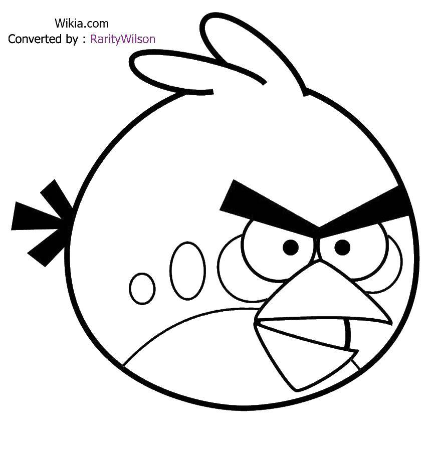 Coloring Bird. Category angry birds. Tags:  birds, games, phones.