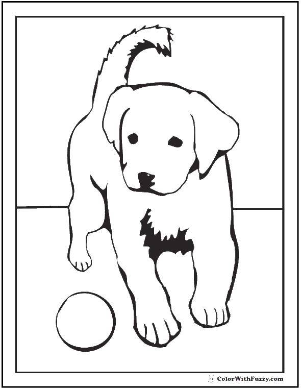 Название: Раскраска Щенок и мяч. Категория: Собака и будка. Теги: Животные, собака.