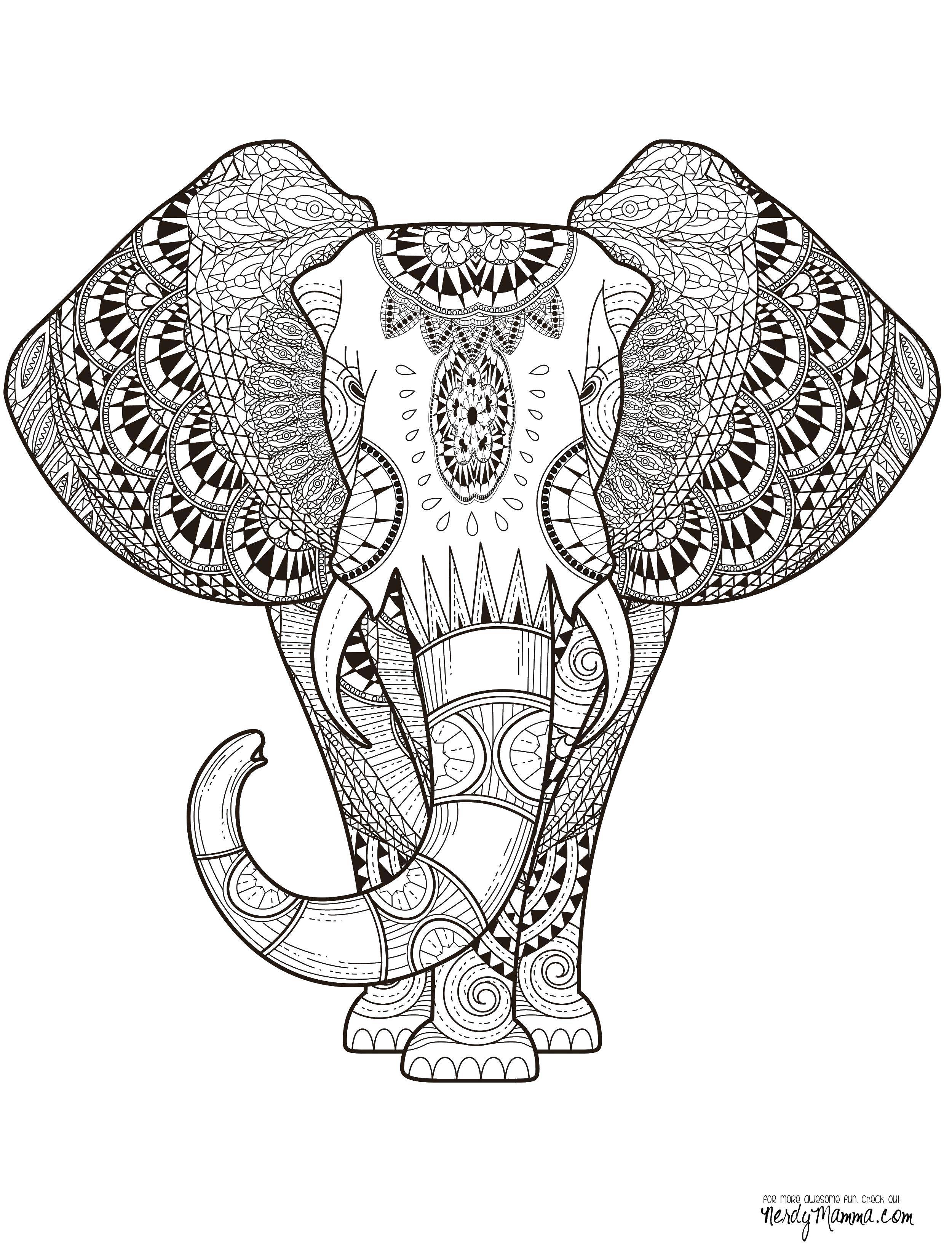 Coloring Elephant antistress. Category Bathroom with shower. Tags:  the antistress, patterns, flowers, elephants.