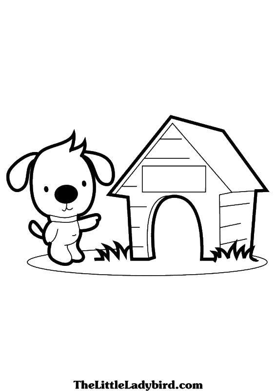Coloring The dog and her booth. Category The dog and the box. Tags:  dogs, kennel, animals.