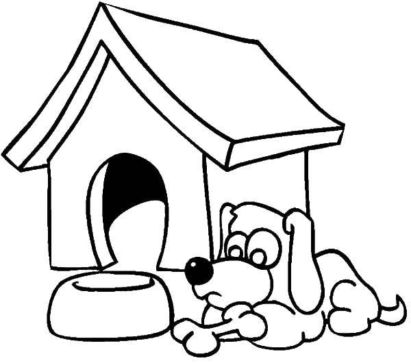 Название: Раскраска Собака и будка с миской. Категория: Собака и будка. Теги: собака, будка, миска, кость.