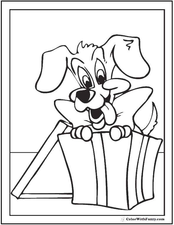 Coloring Dog and korobka. Category The dog and the box. Tags:  dog box, bow.