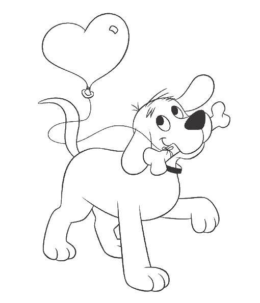 Название: Раскраска Собака и кость с шариком. Категория: Собака. Теги: собака, кость, шарик.