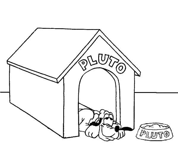 Coloring Dog in a box and a bowl. Category The dog and the box. Tags:  dog, kennel, bowl, food.