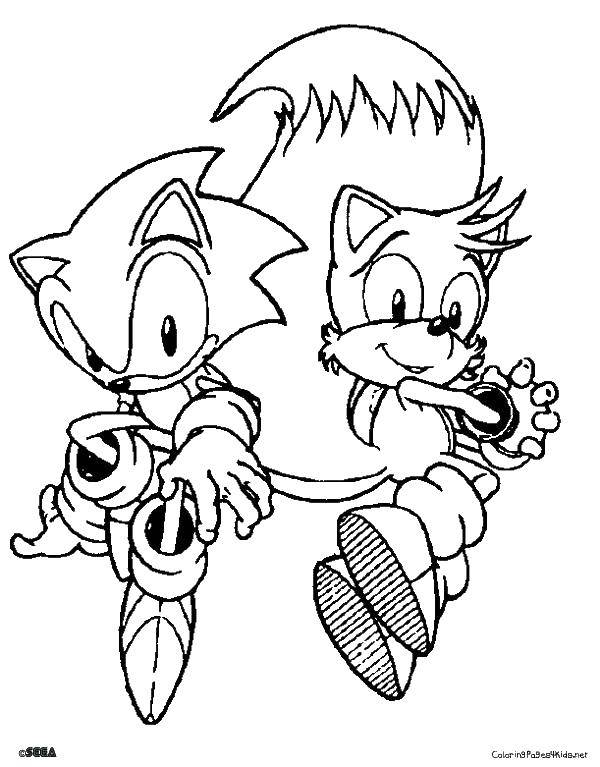 Coloring Sonic. Category cartoons. Tags:  cartoons, sonic, characters.