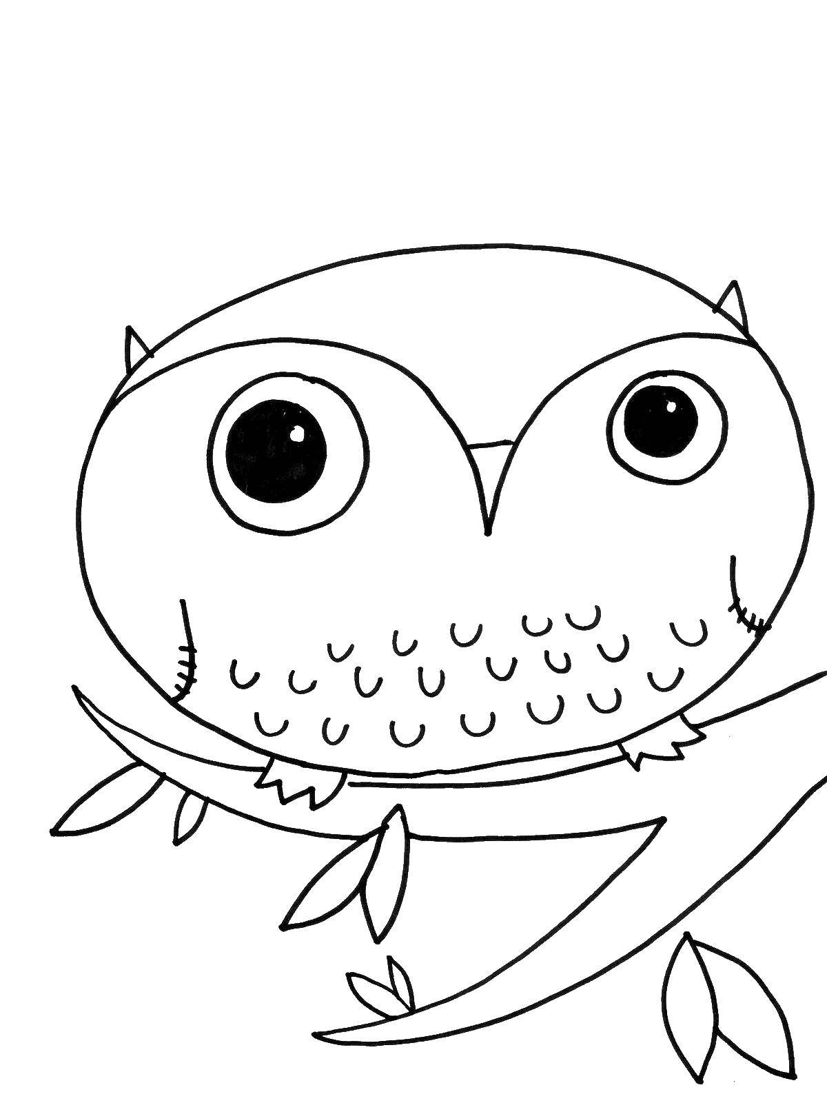 Coloring Owl sitting on the branch of a tree. Category Coloring pages for kids. Tags:  Forest, trees, owl.