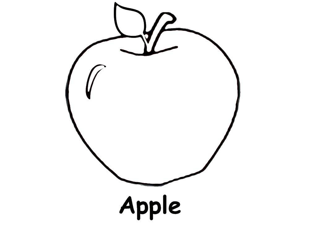 Название: Раскраска Яблоко на английском. Категория: фрукты на английском. Теги: яблоко, листок, корешок.