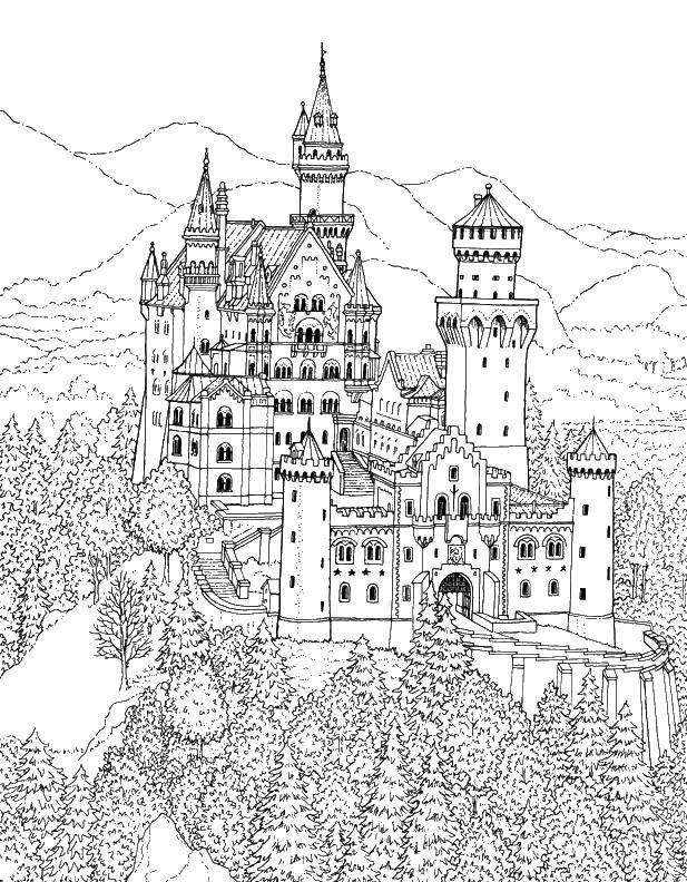 Coloring The castle and the forest. Category Locks . Tags:  castle, tower, forest.