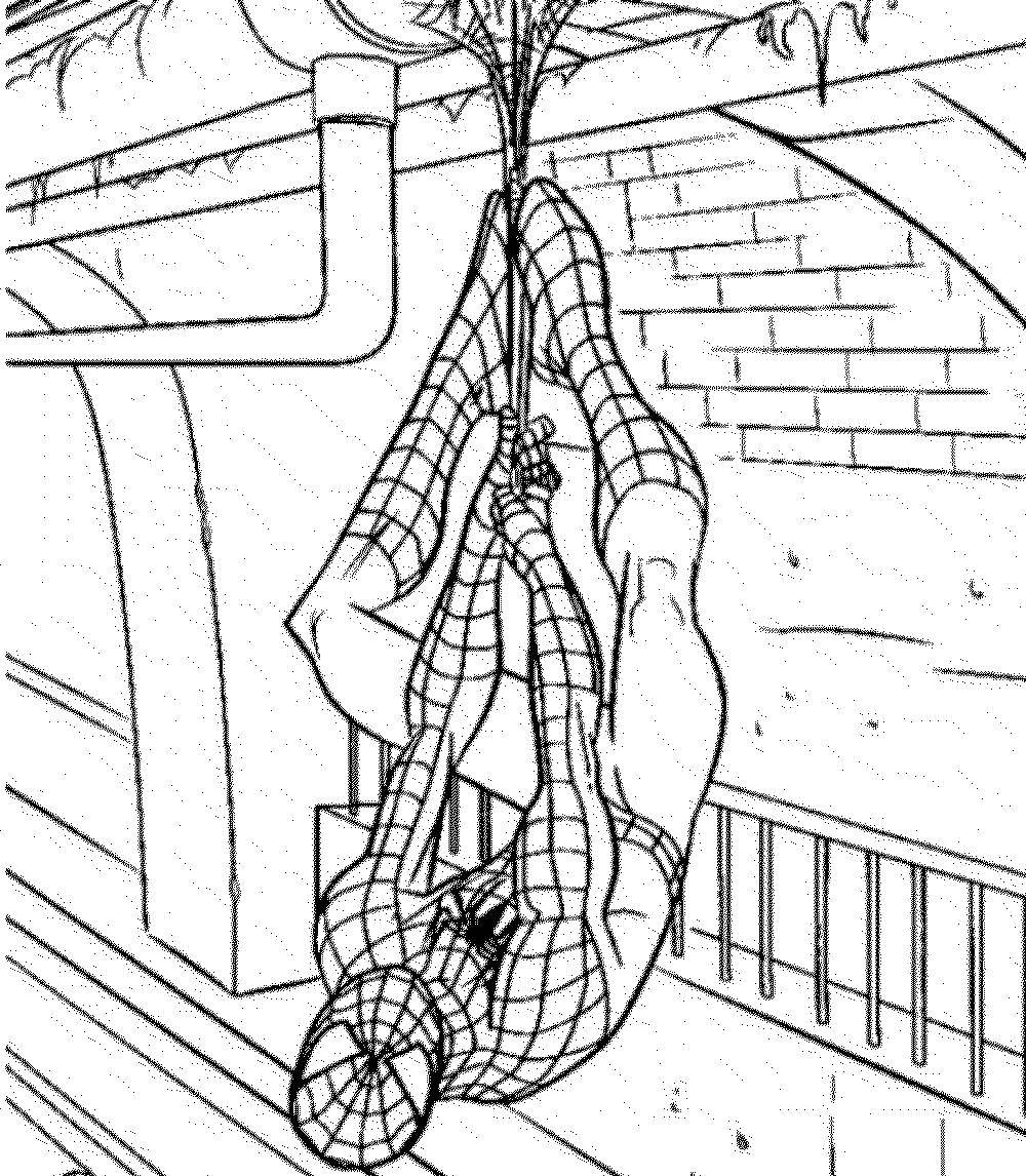 Название: Раскраска Человек паук на паутине. Категория: Комиксы. Теги: Комиксы, Спайдермэн, Человек Паук.