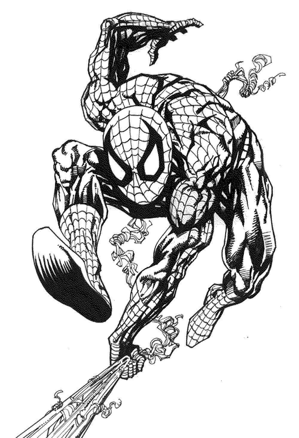 Название: Раскраска Человек паук выпускает паутину. Категория: Комиксы. Теги: Комиксы, Спайдермэн, Человек Паук.