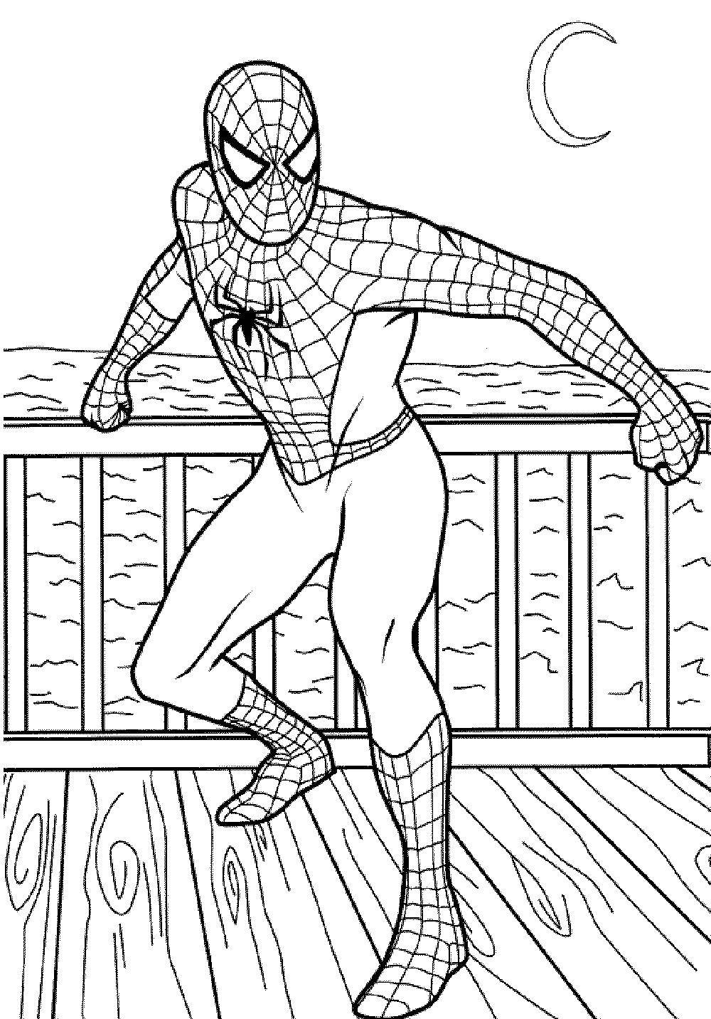 Coloring Spider-man. Category For boys . Tags:  film, cartoon, Spiderman, Spiderman.