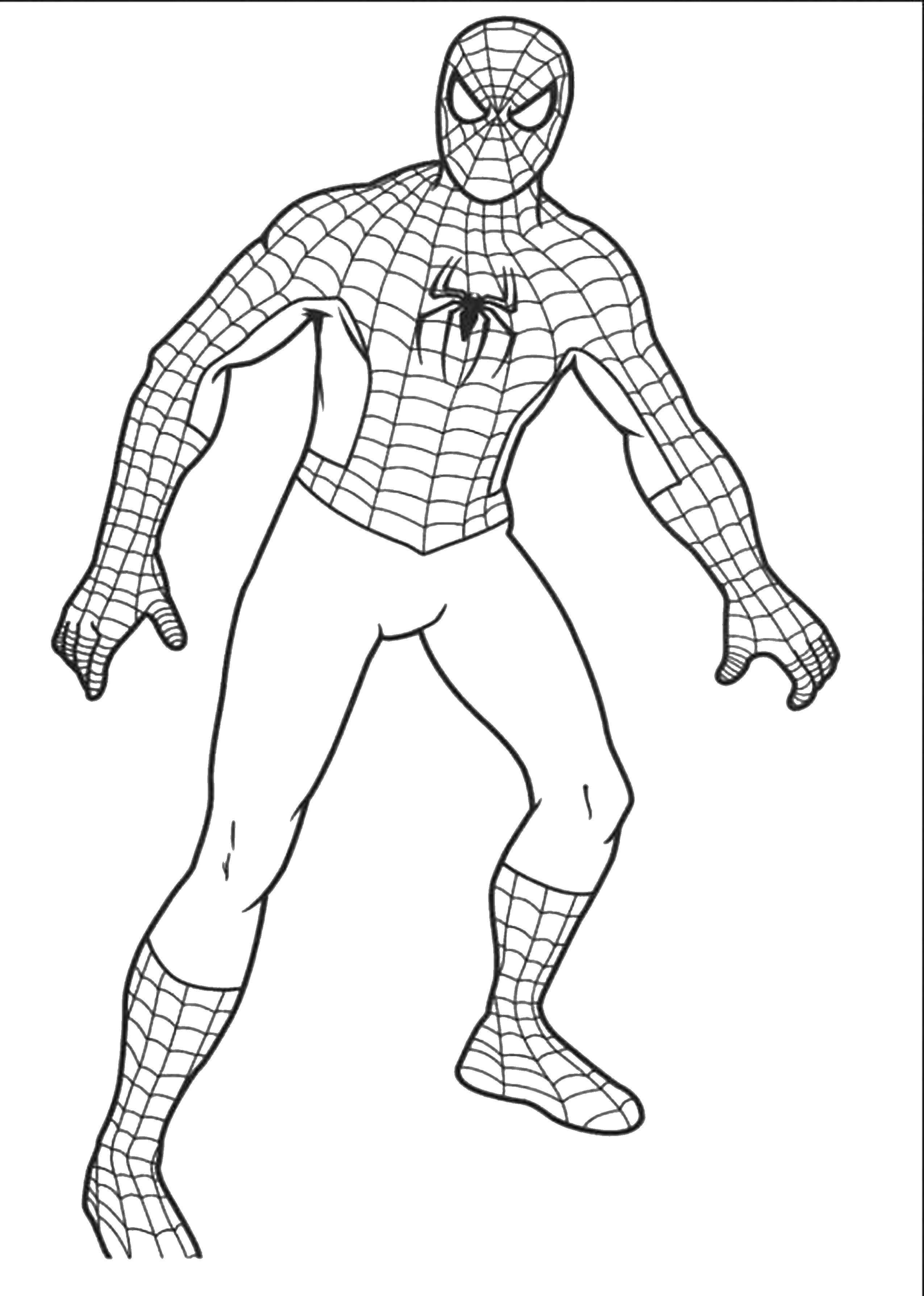 Coloring Spider-man. Category For boys . Tags:  spider man, superheroes.