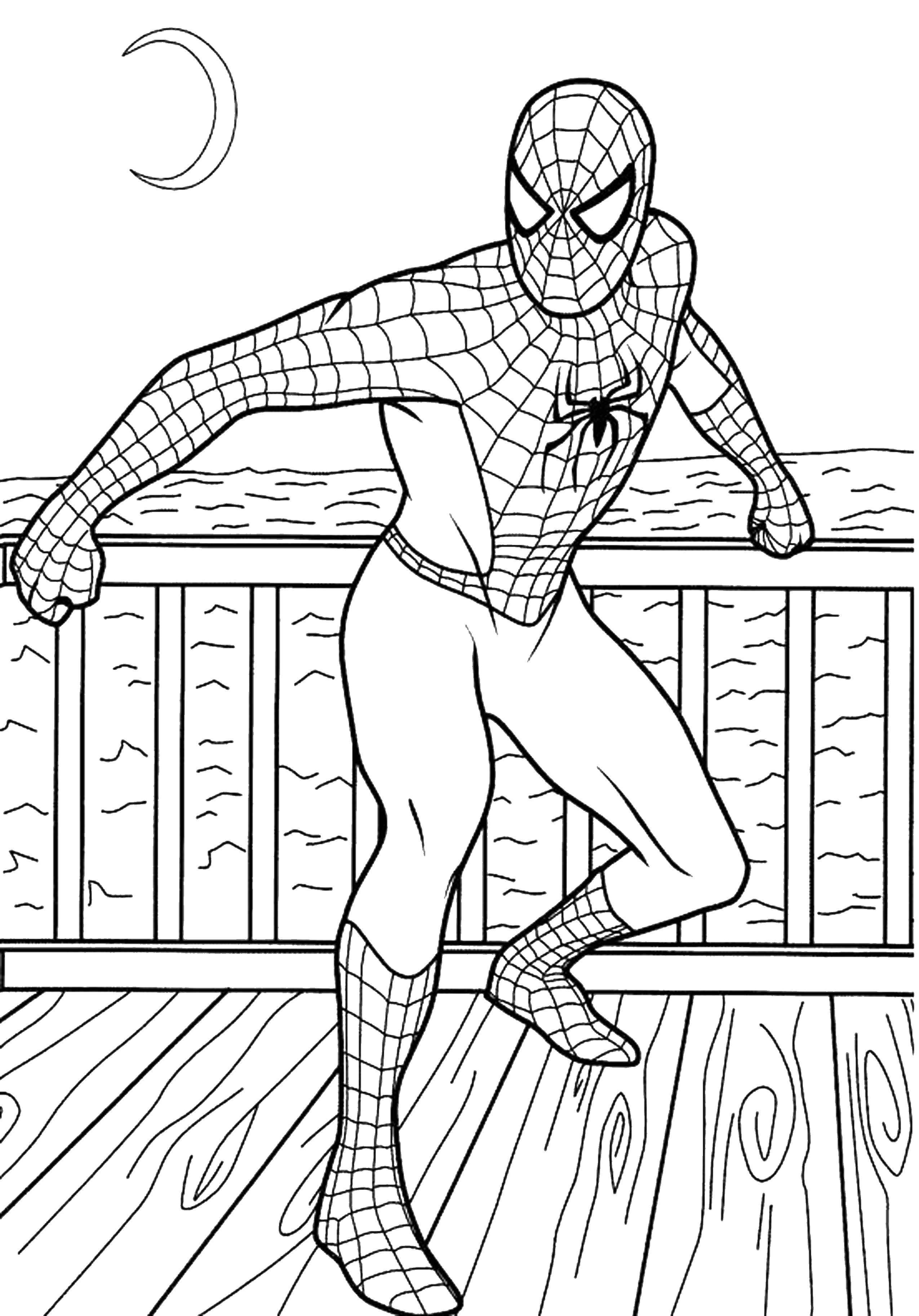 Название: Раскраска Человек паук. Категория: Для мальчиков. Теги: человек паук, супергерои.