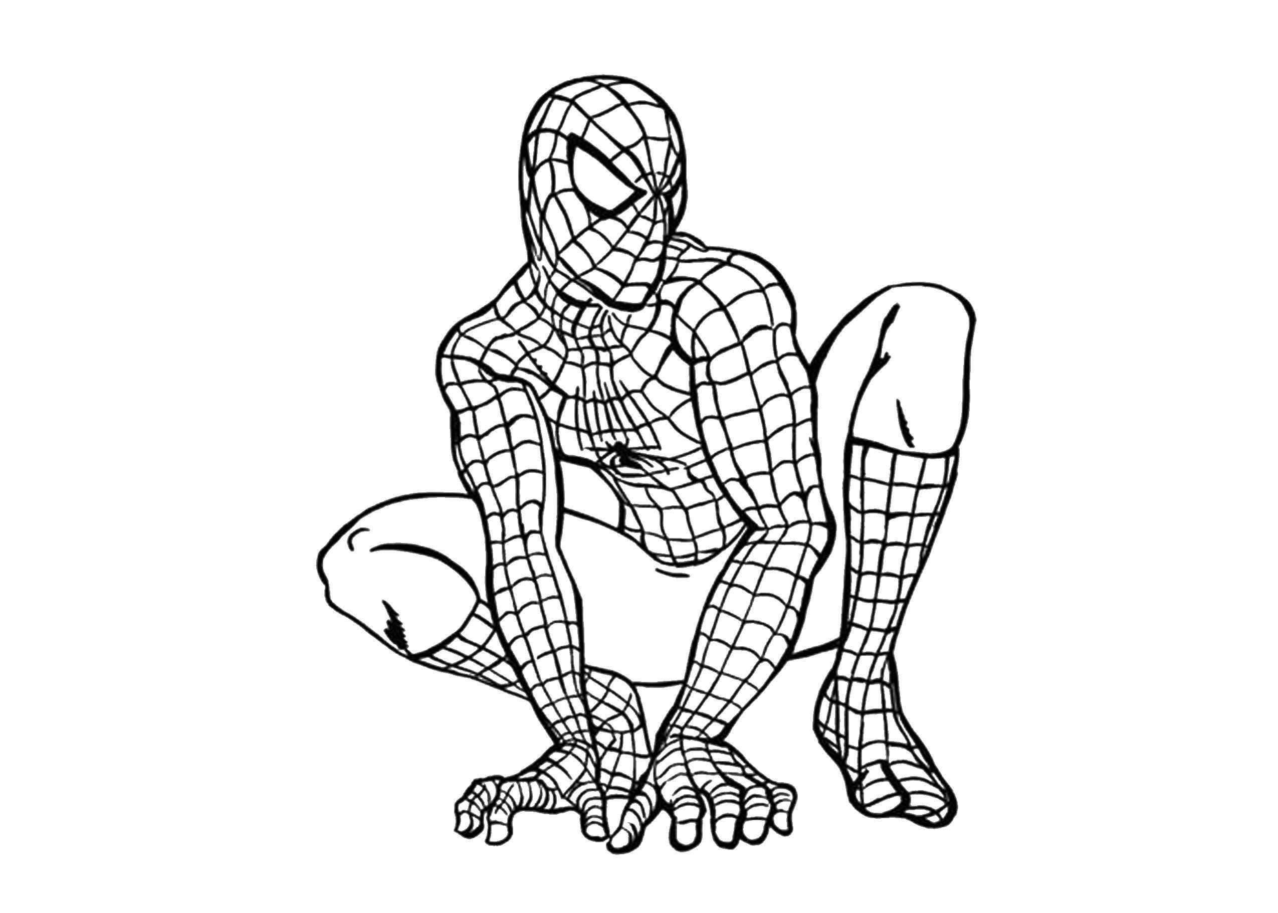 Название: Раскраска Человек паук. Категория: супергерои. Теги: человек паук, супергерои.