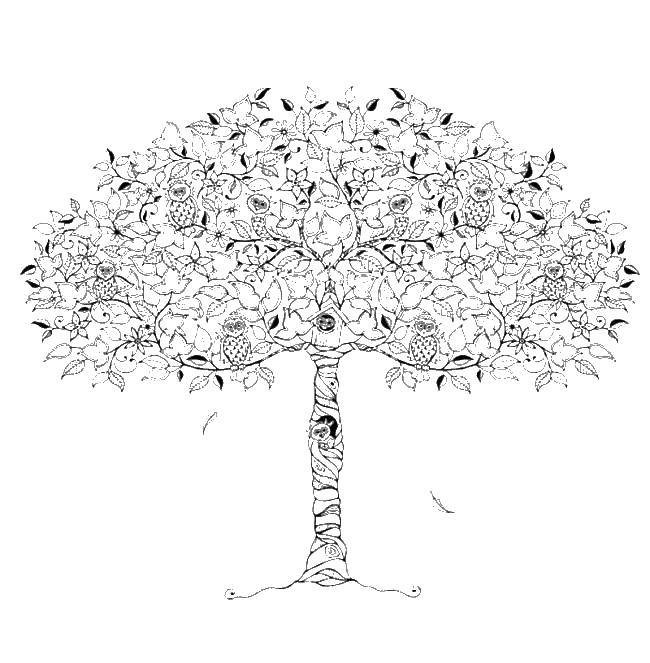 Название: Раскраска Дерево. Категория: Антистресс. Теги: антистресс, дерево, узоры, листва.