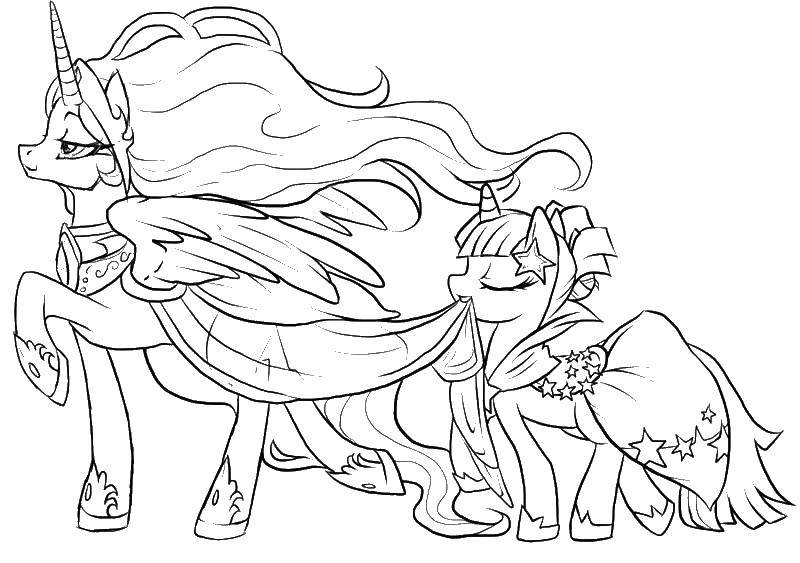 Название: Раскраска Два пони. Категория: мой маленький пони. Теги: мой маленький пони, мультфильмы, пони.