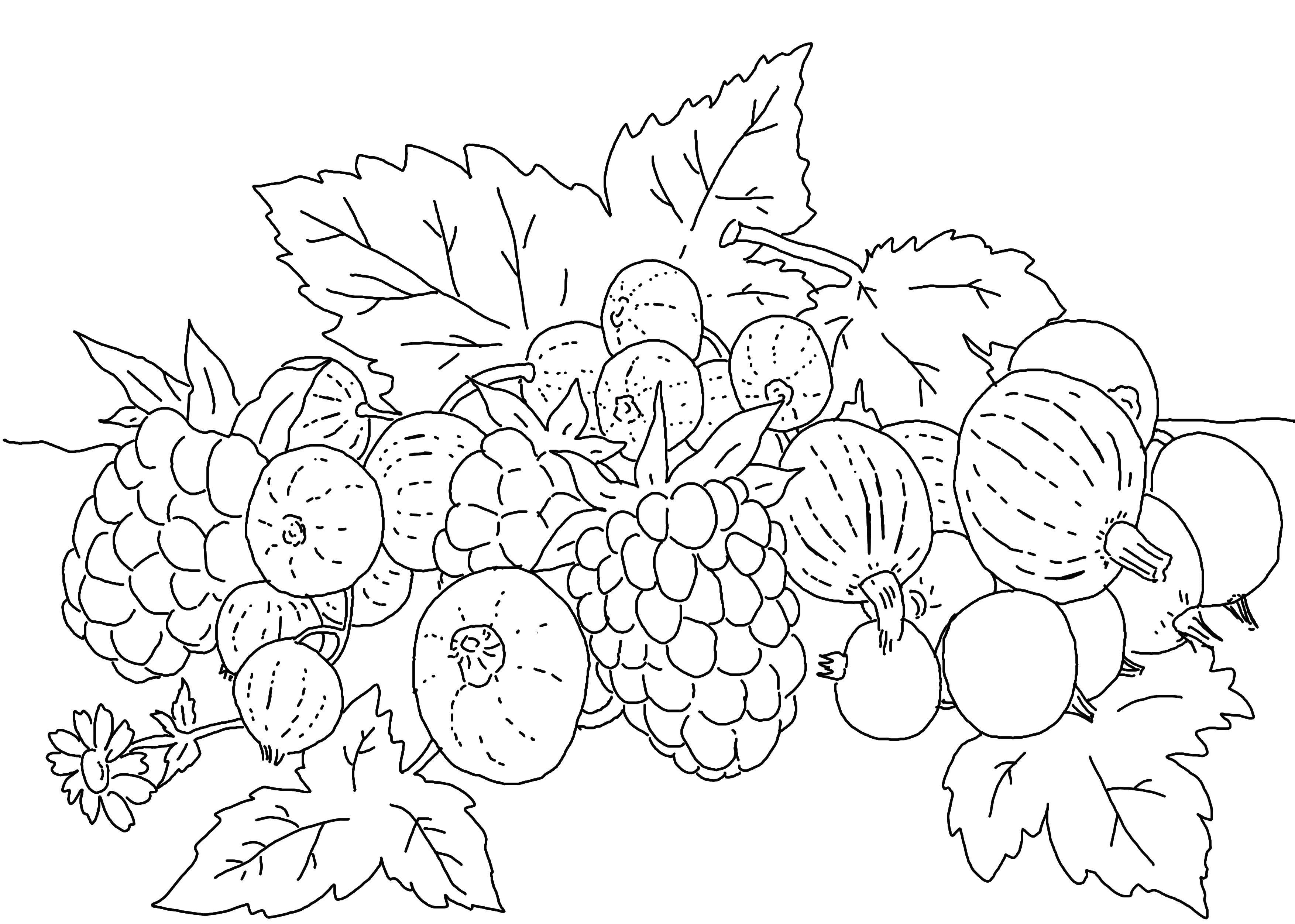 Название: Раскраска Фрукты с ягодами и овощи. Категория: раскраски. Теги: фрукты, овощи, ягоды.