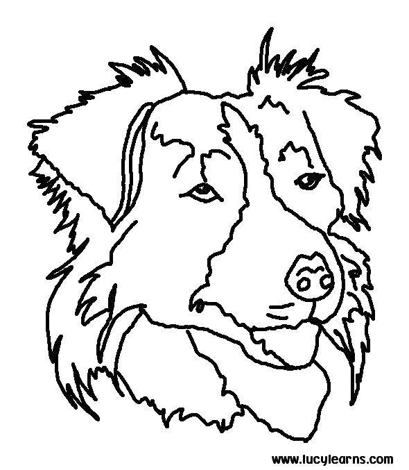 Название: Раскраска Голова собаки. Категория: собаки. Теги: голова, собака, уши, нос.