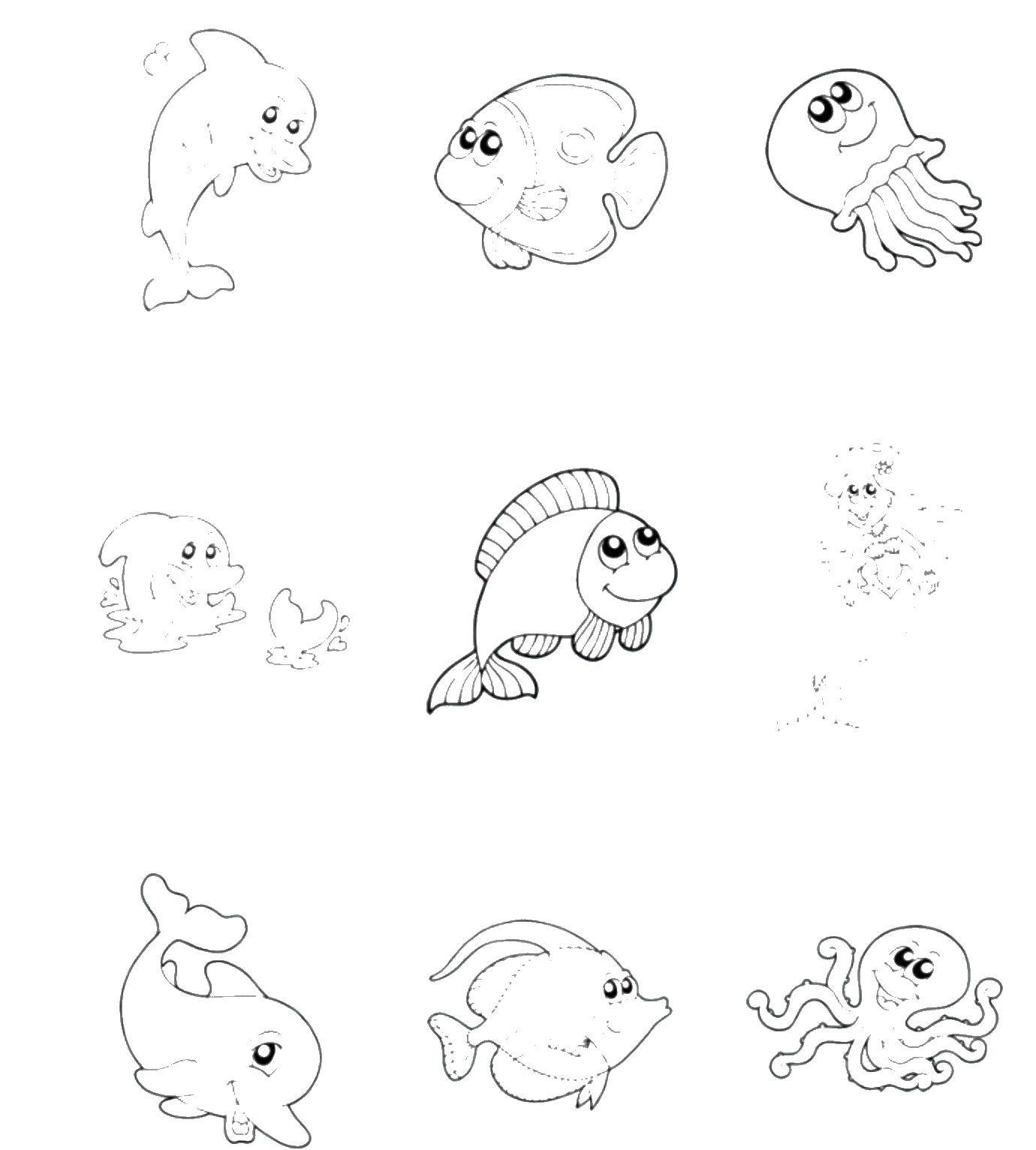 Название: Раскраска Контуры морских обитателей. Категория: Морские животные. Теги: медуза, рыбы, дельфин, осьминог.