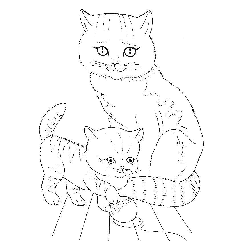 Название: Раскраска Кошка и котенок с клубком ниток. Категория: котики. Теги: кошка, котенок, клубок.