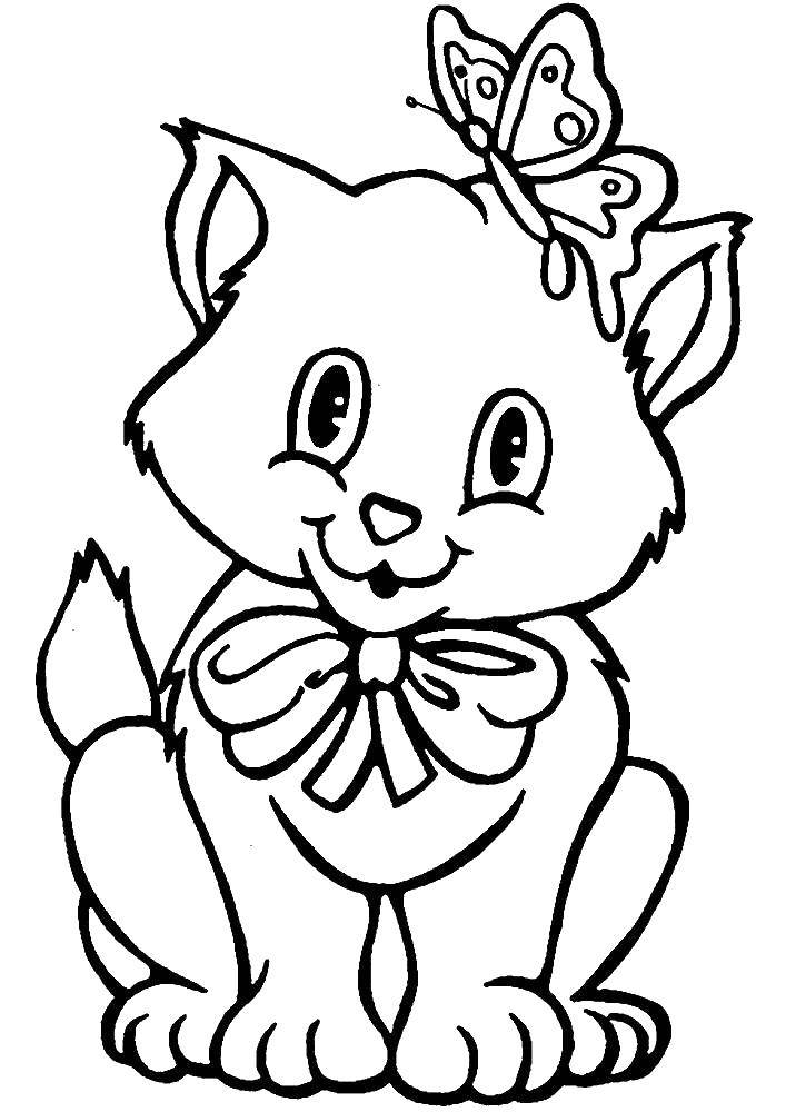 Coloring Kitten and butterfly. Category seals. Tags:  kitty, butterfly, bowknot.