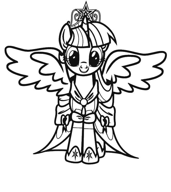 Coloring Winged ponies. Category my little pony. Tags:  my little pony, animation, pony, wings.
