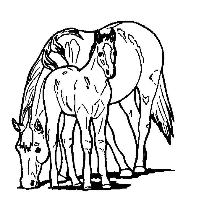 Название: Раскраска Лошади. Категория: лошади. Теги: лошади, жеребенок, лошадь, конь.
