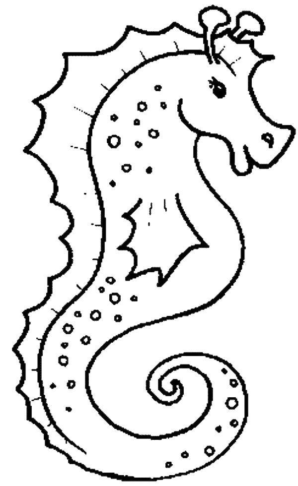 Coloring Seahorse with a fin. Category Marine animals. Tags:  seahorse, tail fin.