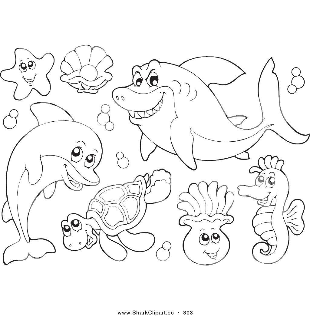 Название: Раскраска Мультяшные морские обитатели. Категория: Морские животные. Теги: акула, дельфин, черепаха, медуза.