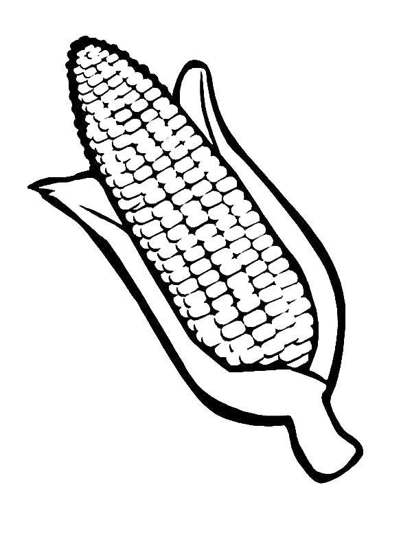 Название: Раскраска Одна кукурузка. Категория: Кукуруза. Теги: початок, кукуруза.