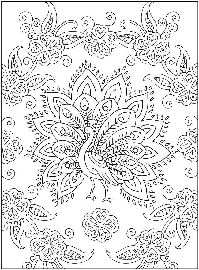 Coloring The peacock and the flowrs. Category Patterns. Tags:  patterns, peacock, flowers.