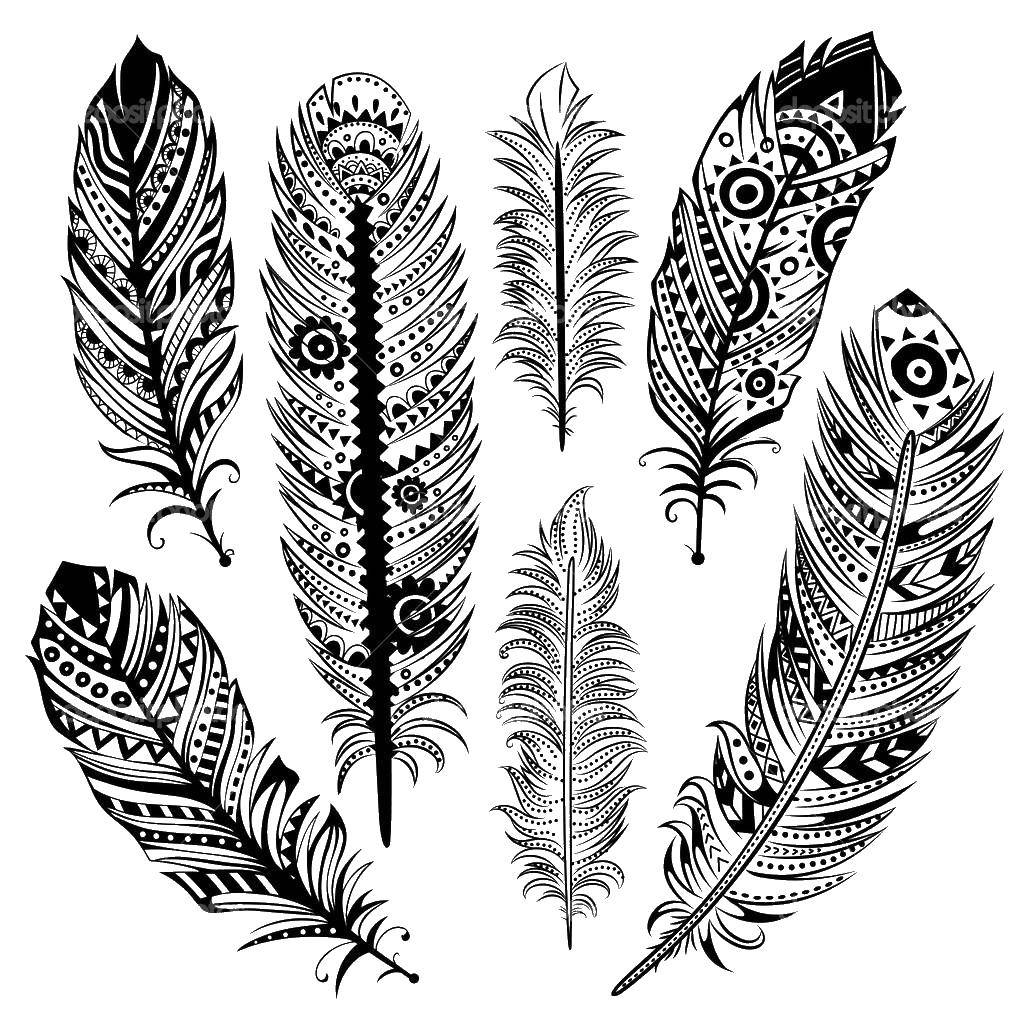 Coloring Feathers. Category Bathroom with shower. Tags:  the antistress, patterns, feathers.