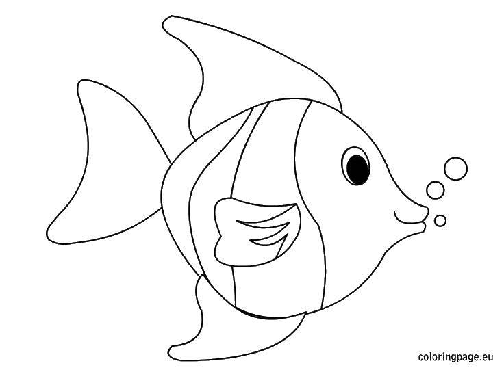 Название: Раскраска Пузырьки и рыба. Категория: Морские животные. Теги: рыба, пузыри, плавник.
